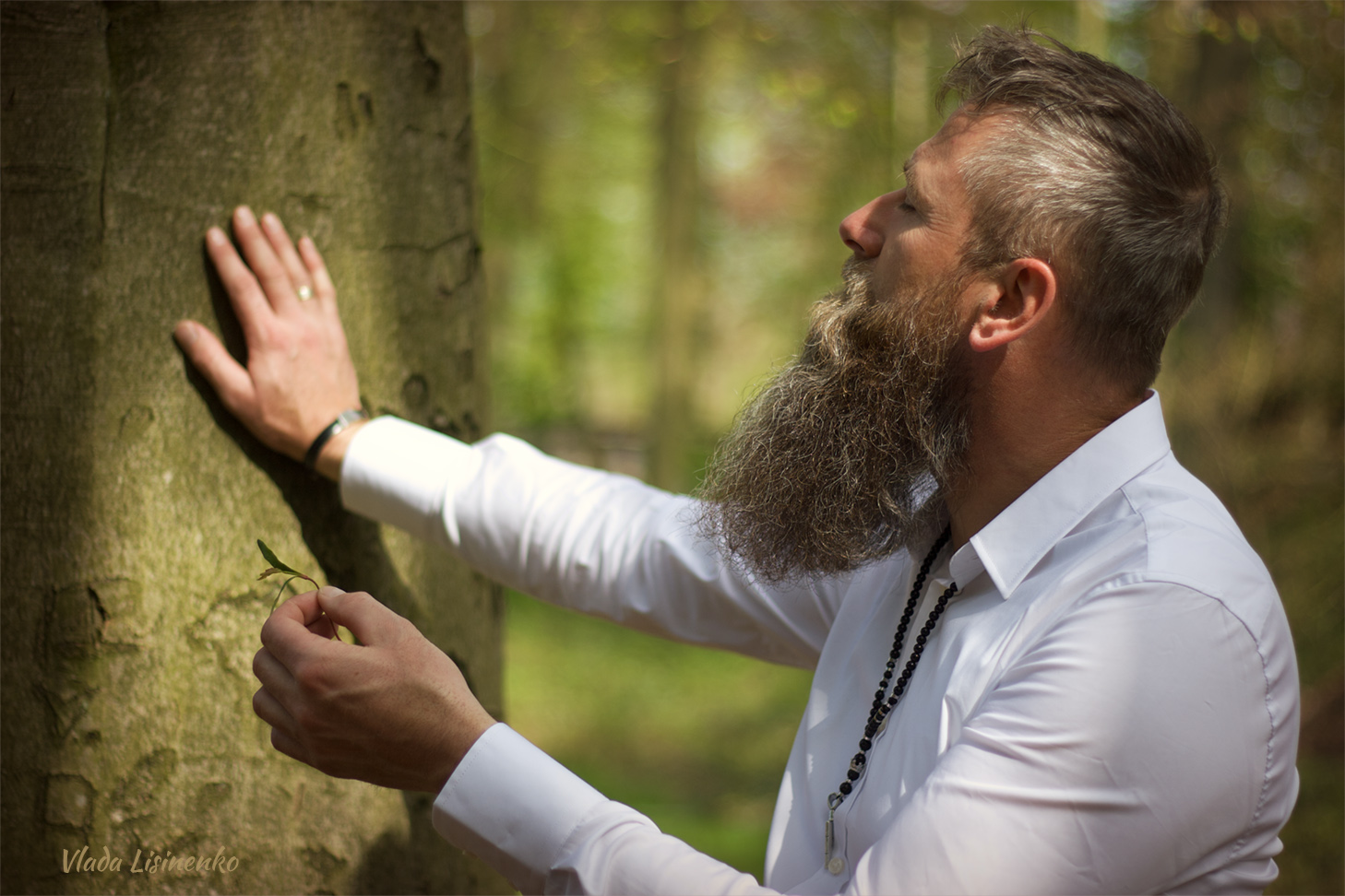 forest bathing walk as medicine