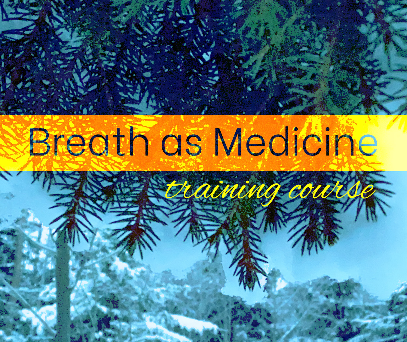 breath as medicine training course breathing techniques