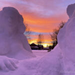 tiger mistress snow sculpture vladyslava lisinenko