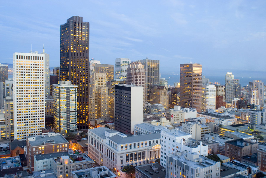 city cells comparing to forest bathing