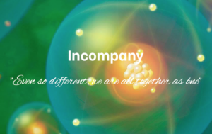 incompany vladavibes