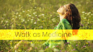 walk as medicine forest bathing