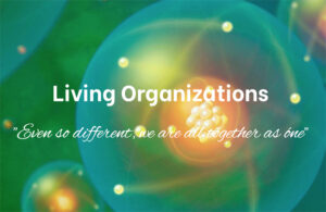 Living Organizations, incompany, vladavibes, vladyslava