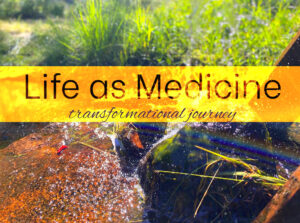 life as medicine beauty