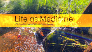 life as medicine beauty