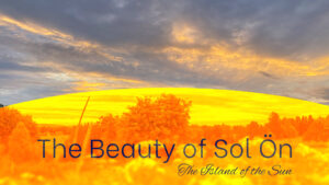 beauty sol ön art project