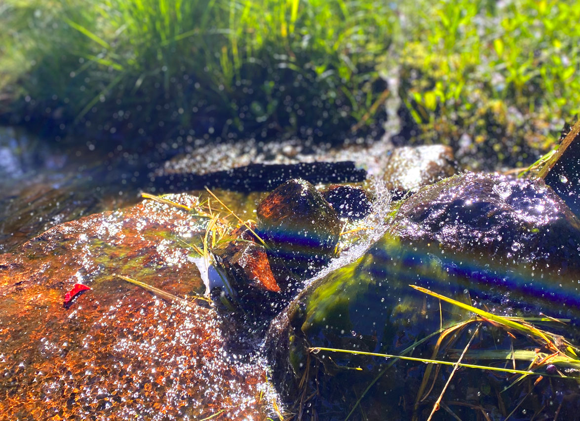 sound as medicine water