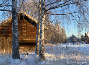 winter sollerön4