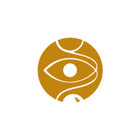 logo vladavibes