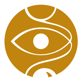 logo vladavibes