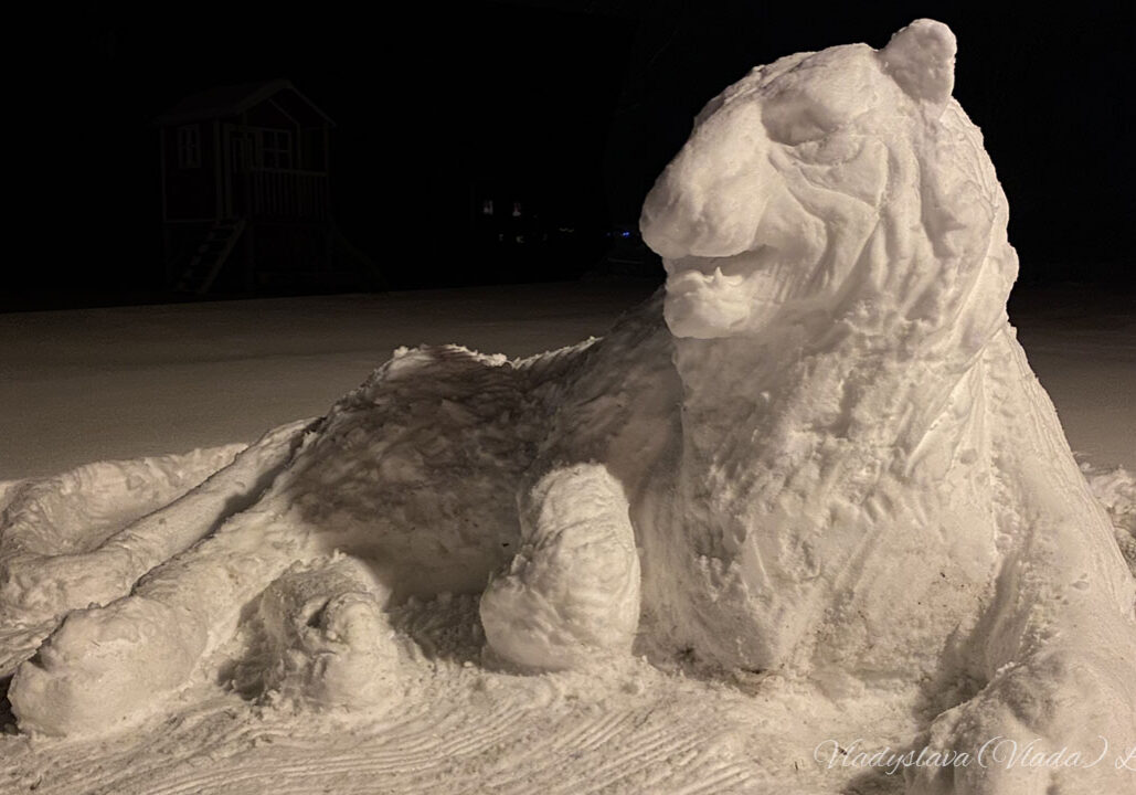art projects tiger mistress snow sculpture vladyslava lisinenko